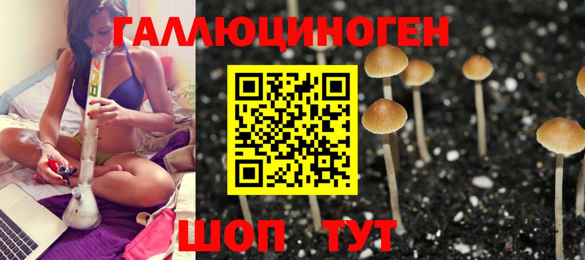Псилоцибиновые грибы MAGIC MUSHROOMS  Вход с VPN  Усть-Кут  Псилоцибиновые грибы Magic Shrooms 