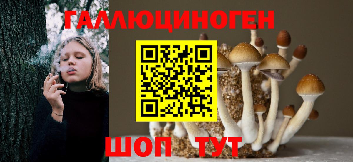 Псилоцибиновые грибы MAGIC MUSHROOMS Усть-Кут